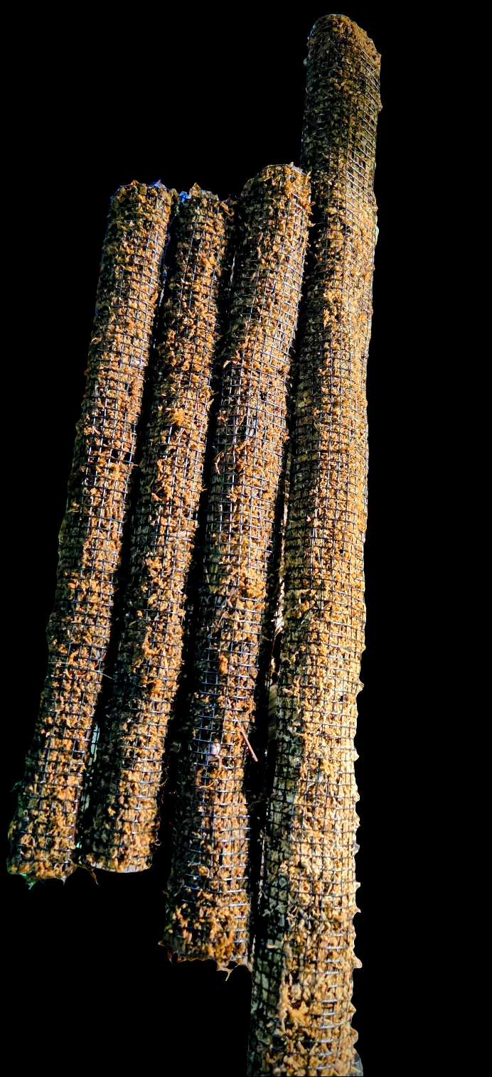 Moss Pole Various Sizes