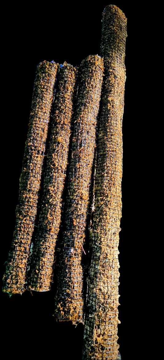 Moss Pole Various Sizes
